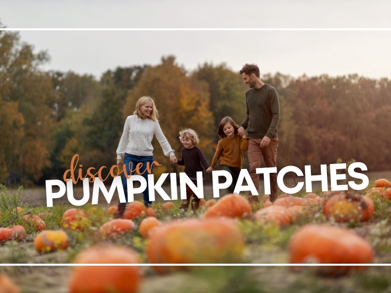 Discover Pumpkin Patches: 6 Spectacular Fall Farm Activities